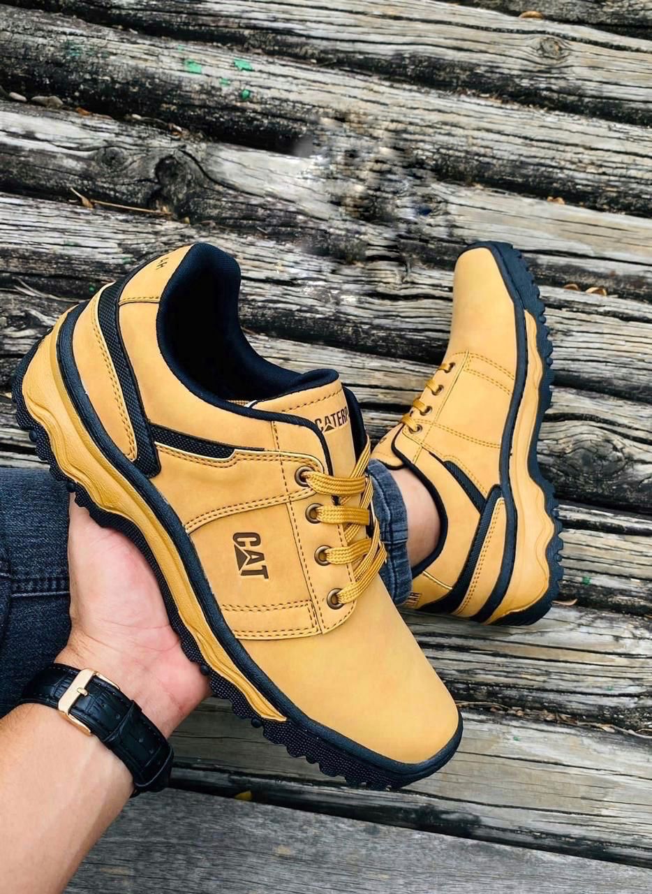 Tenis Concepto